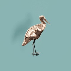 PREMIERE : Radondo - Dante