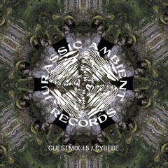 Guestmix_15_cybebe