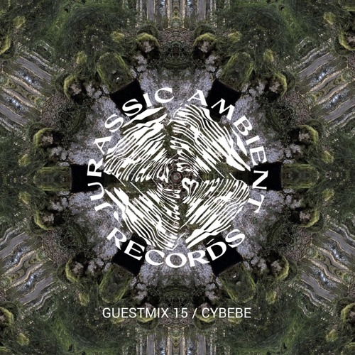Guestmix_15_cybebe