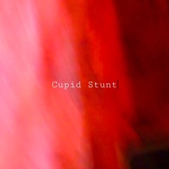 Had I Known (on Xmas Eve)