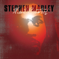 洋楽 Stephen Marley The Traffic Jam Remix Stephen & Damian Marley ft. Buju Banton - Traffic Jam Remix
