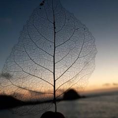 DRY (Rancid Eddie Cover)