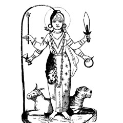 houdini (ft.amirstfu)