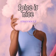 Spice is nice mix