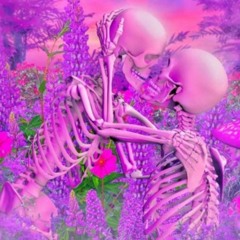 virgingod - sei la (slowed & reverb)