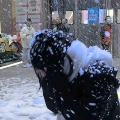 ARLEKIN 40 000 X FALLENCASTLE - YARIKAWA