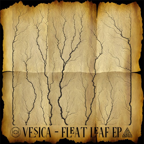 Vesica - Fleat Leaf