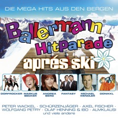 Disco Fox Musik zum Tanzen - Part 1