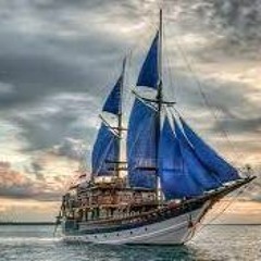 Sea Safari (STBB#811)