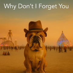 Why Dont I Forget You