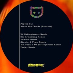 Psycho Cat - Above The Clouds (Skooler & Flare Remix) (128kbps)