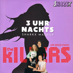 Mehnersmoos- 3 Uhr Nachts (Mr Brightside Mashup)