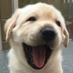 Yêu ai phải nói by Ngoc