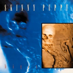 Skinny Puppy - One Day (Black Light District Proof Of Concept Mix)