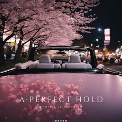 A Perfect Hold | Holding On (Kompany Remix) x Perfect Night Mashup