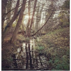 Debt To Pleasure MasterA