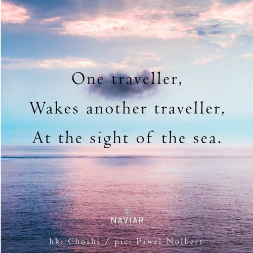 Boson Spin - Traveller [naviarhaiku372]