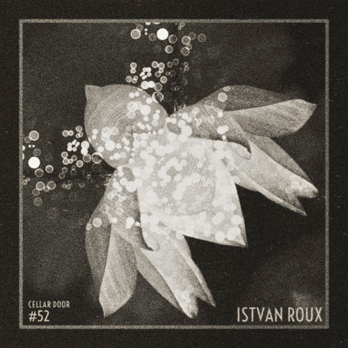 #52-ISTVAN ROUX