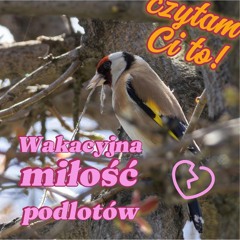 Wakacyjna miłość podlotów - rymowana bajka o miłości