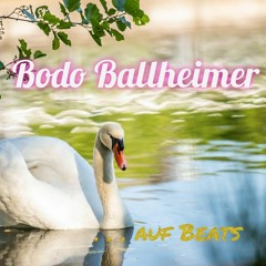 B.BALLHEIMER - HATSNICHTIMMERLEICHT