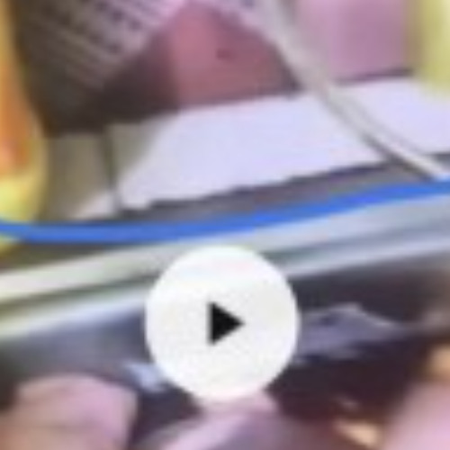 [Video Gốc] kỳ án 88 nguyễn xuân đạt 88 trang 88 trang tài liệu đoàn văn sáng vụ lạng sơn 88 trang ở lạng sơn