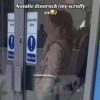 Natalie disstrack