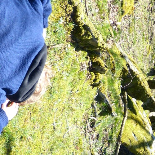 Leaves.Would.Reach.For.Ground.