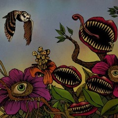 Venus Flytrap