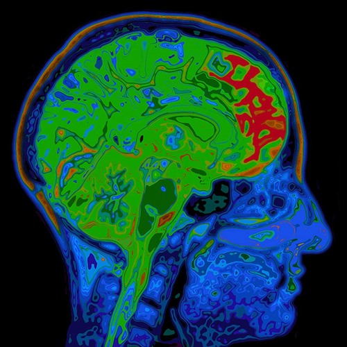 i know i'm carpetgarden but i am also DJ MEATSTARR - SUBCULTURE PARTY MIXXX 05/21/22