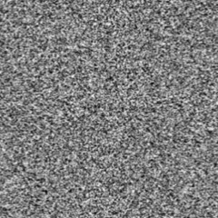 ( •̀_•́ ) @oo0o000oo0o