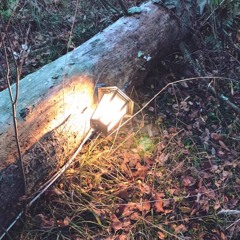 Leon Lugy - light Up