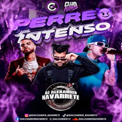 PERREO INTENSO SESION PERREO OLD SCHOOL EXITOS EXCLUSIVOS A MI ESTILO PERSONAL COÑO ENERO MIX 2025🔥