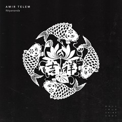 PREMIERE: Amir Telem - Within You (Kamilo Sanclemente Remix) [Bull In A China Shop]