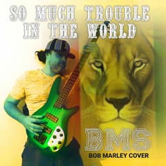 BOB MARLEY so much trouble in the world (BMS version)