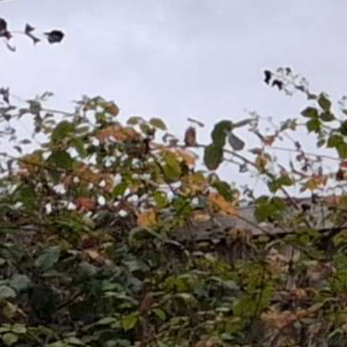 i keep my eyes closed (rough demo)