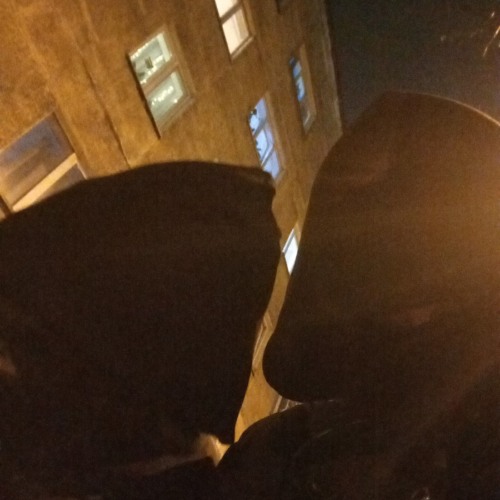 мухоморы