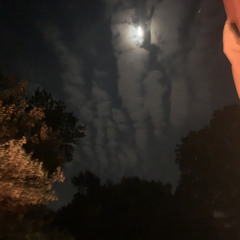 im just tryna make u mine