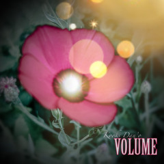 Volume