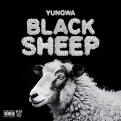 Black Sheep