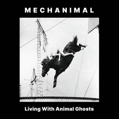 Mechanimal - Red Mirror (Rodney Orpheus Club Mix)