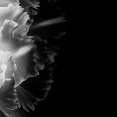 Someone who cannot heal/bipolar [Prod. skrewface]