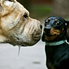 caos - futuros ingenieros ft brandy y sent (@ykcaos)