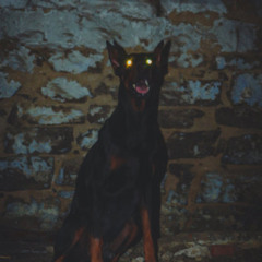 BLOODHOUNDS (+ pastnight)