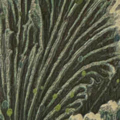 boygenius - Not Strong Enough [EDM Remix]