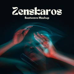 Mia Borisavljevic Vs. Dua Lipa - Zenskaros Vs. Don't Start Now (Beatwave Mashup)