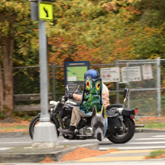 when your life changes overnight