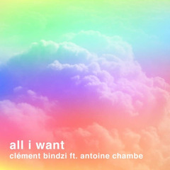 Clément Bindzi - All I Want (ft. Antoine Chambe)