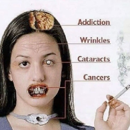 kazui geralginK p.cvctuswya/snippet