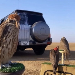 ‎⁨🌷يا سيّد خشوف المهاتي⁩