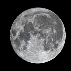 Fritz Hofmann - Fly Me To Moon